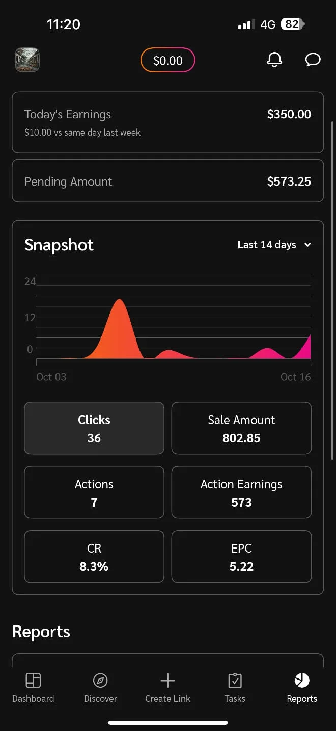 $350 Earned In One Day